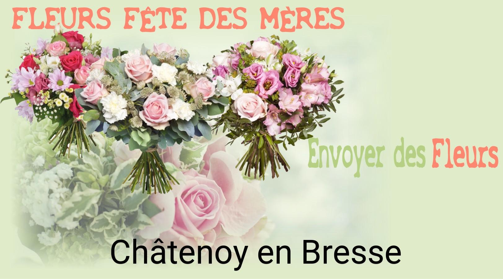 Bouquet de Fête des Mères livré à Châtenoy-en-Bresse